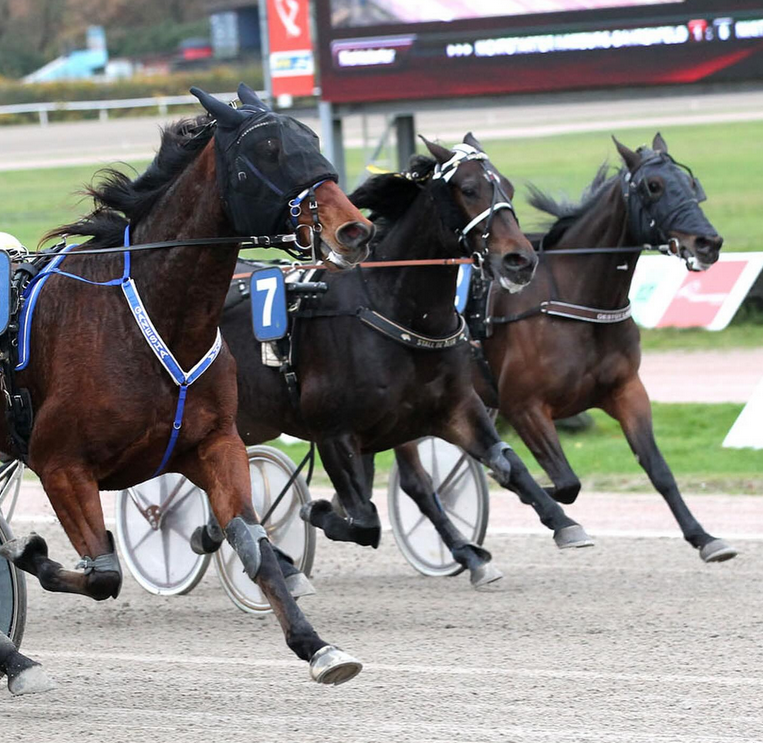 Bandenwerbung an einer Pferderennbahn